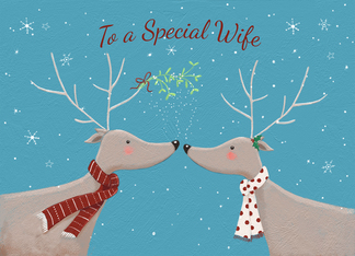 Special Wife...
