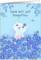 Sympathy Forget Me...