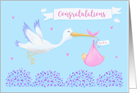 Baby Girl Congratulations Stork card