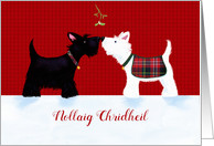 Nollaig Chridheil, Scottish Gaelic Christmas Dogs with Tartan card