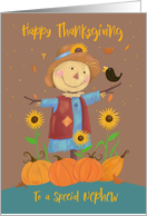 Nephew Happy Thanksgiving Cute Scarecrow with Sunflowers card