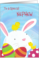 Nephew Happy Easter Bunny with Chicks and Eggs card