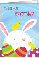Brother Happy Easter Bunny with Chicks and Eggs card