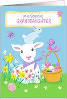 Granddaughter Easter Spring Lamb and Bunny card