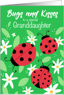 Granddaughter Birthday Bugs and Kisses Ladybugs card