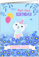 Granddaughter Purr-fect Birthday Cat with Hat and Balloons card