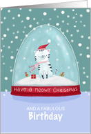 Birthday at Christmas Cat in Snow Globe card