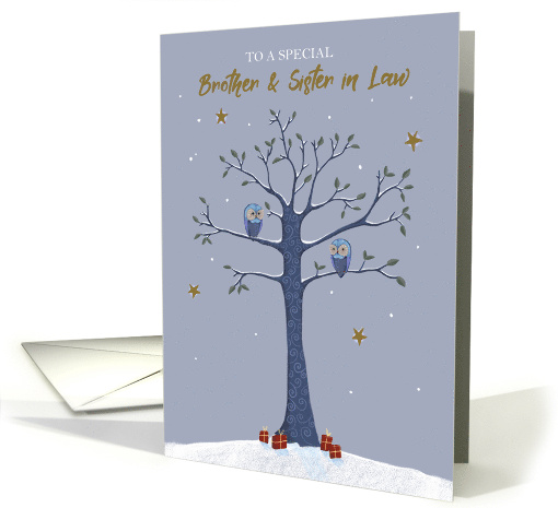 Brother and Sister in Law Christmas Owls on Tree card (1740258)