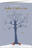 Brother and Sister in Law Christmas Owls on Tree card