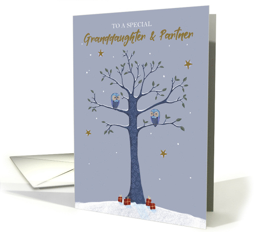 Granddaughter and Partner Christmas Owls on Tree card (1740264)