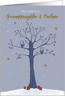 Granddaughter and Partner Christmas Owls on Tree card