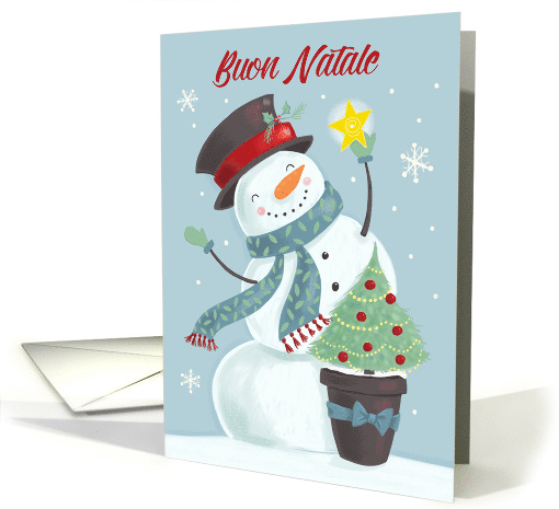 Italian Christmas Nollaig Shona Holiday Snowman Hat and Star card