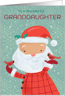 Granddaughter Cute Santa with Red Cardinal Birds card