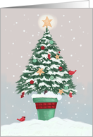 Christmas Holiday Tree with Gold Star card