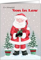 Son in Law Santa...