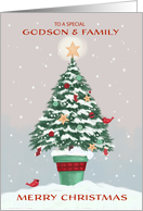 Godson and Family Christmas Tree with Gold Star card
