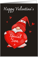 Special Son Valentine’s Gnome card