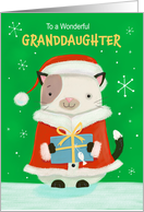 Granddaughter Cute Christmas Cat card