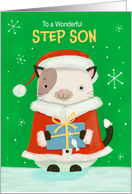 Step Son Cute Christmas Cat card