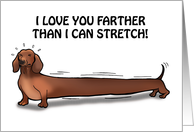 Dachshund Stretches to Show Valentine Love card