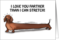 Dachshund Stretches...