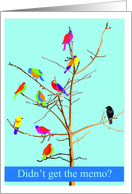 Invitation to Team Building Training Program with Colorful Bird Team card