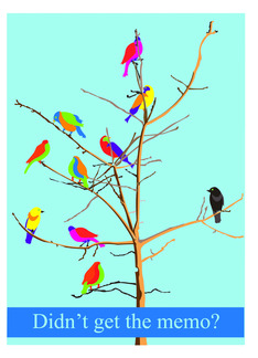 Invitation to Team Building Training Program with Colorful Bird Team