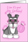 Birthday for a Girl, Schnauzer with Glasses, Lollipop, Butterfies card