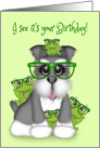 Birthday for a Boy, Schnauzer with Glasses and Frogs with Glasses card