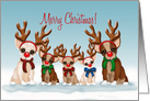 Merry Christmas, Five Chihuahuas with Red Noses Wearing Antlers card