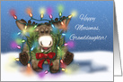 Christmas for Granddaughter, Moose Tangled in Christmas Lights card
