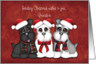 Sending Christmas Wishes to you Grandson, Three Puppies with hats card