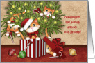 Granddaughter, Meowy Christmas, Kittens Being Mischievous card