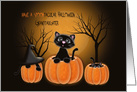 Spooktacular Halloween Granddaughter, Kittens in Pumpkins card