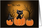 Happy Halloween, Kittens in Pumpkins card