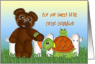 Birthday for a Sweet Great Grandson,Teddy Bear Frog sitting on Turtle card