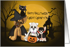 Halloween for Great Grandson, Puppies Dressed in Costumes and a Cat card