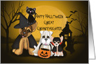 Halloween for Great Granddaughter, Puppies Dressed in Costumes, a Cat card