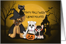 Halloween for Granddaughter, Puppies Dressed in Costumes, a Cat card