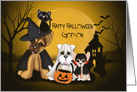 Halloween for Godson, Puppies Dressed in Costumes, a Cat card