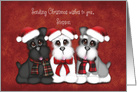 Sending Christmas Wishes to you, Stepson, Three Puppies with hats card