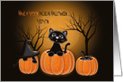 Spooktacular Halloween Stepson, Kittens in Pumpkins card