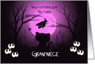 Halloween for Grandniece Spooky, Shilouette Cat, Flying Witch, Moon card