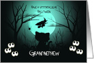 Halloween for Grandnephew Spooky, Shilouette Cat, Flying Witch, Moon card