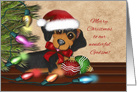 Merry Christmas for Godson, Dachshund Wearing a Santa Hat card
