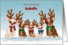 Merry Christmas, Customize Name, Chihuahuas with Red Noses and Antlers card