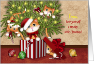 Meowy Christmas, Customize Name, Kittens Being Mischievous card