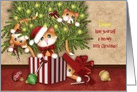 Meowy Christmas, Customize Name, Kittens Being Mischievous card