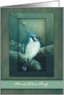Christmas Customize Name, Painting of Blue Jay on a Evergreen Branch card