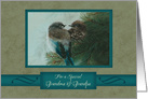 Christmas, For Grandma and Grandpa, Birds in Tree Branch Art card